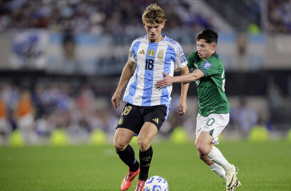 新鹏城的未 新鹏城的未